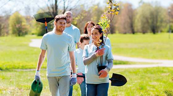 people planting trees