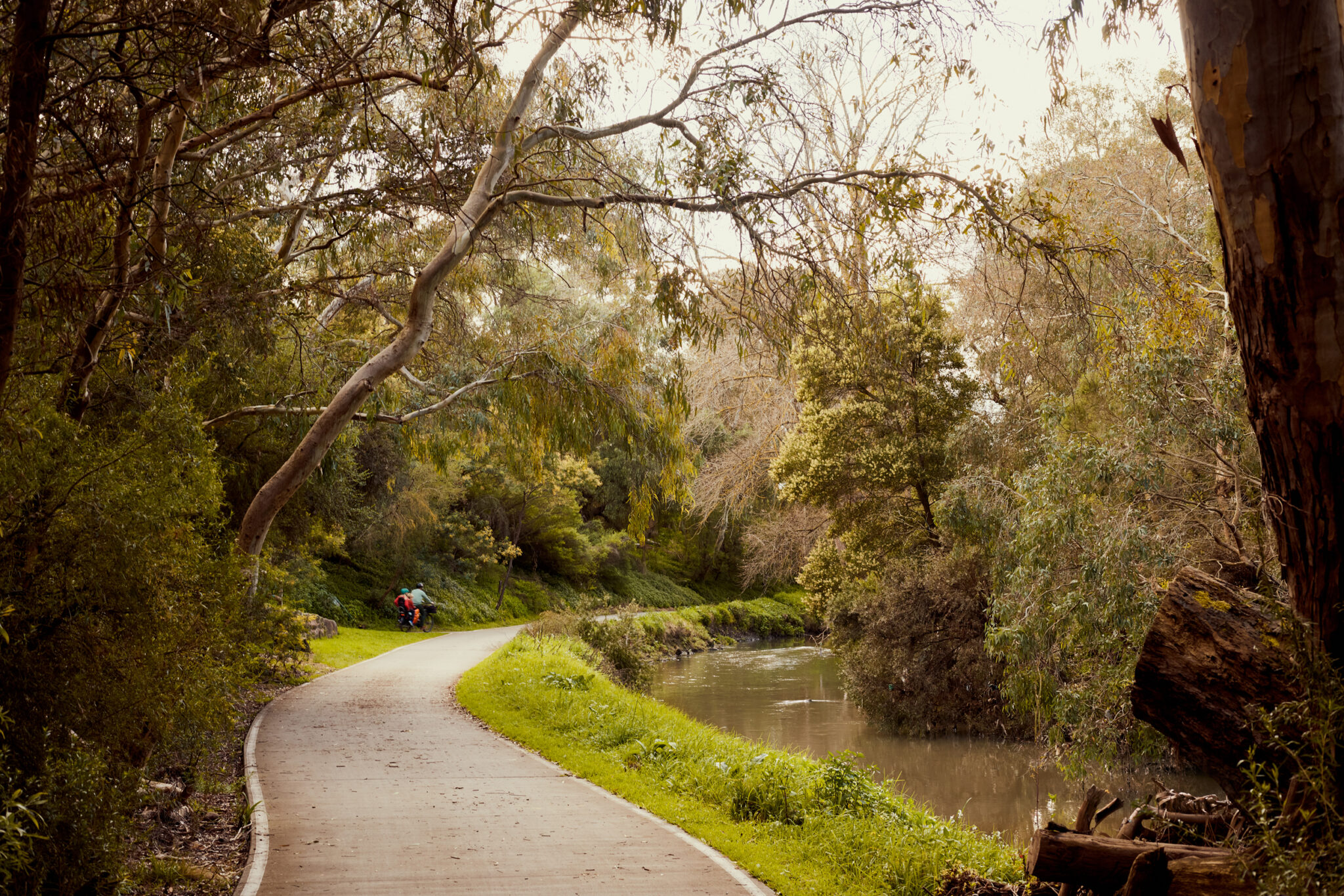 8 Things to Look for in an Environmentally Friendly Apartment - Sustainable Apartment Resident Benefits